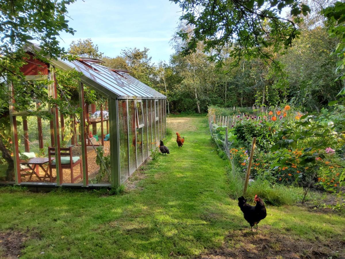 Ringkobing Fjord B&B Skjern Екстериор снимка