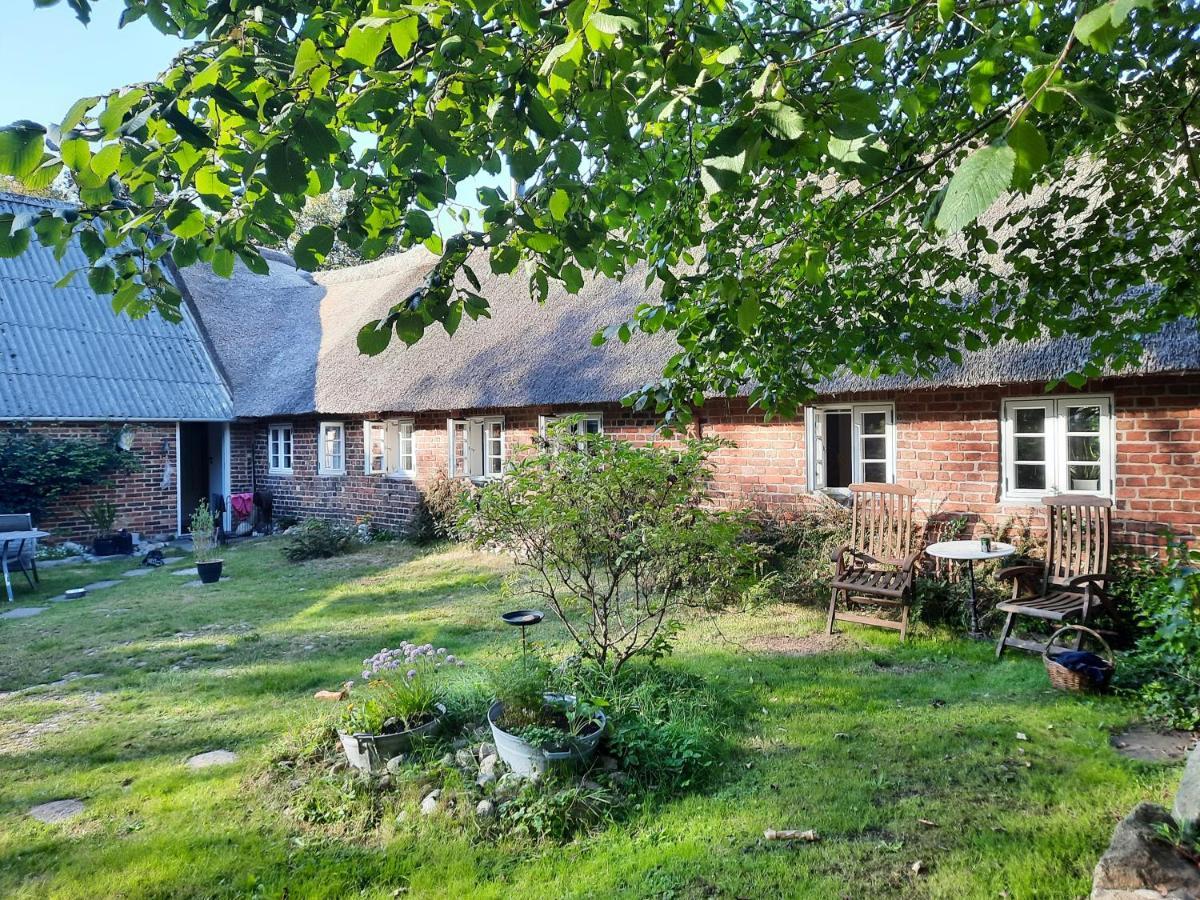 Ringkobing Fjord B&B Skjern Екстериор снимка